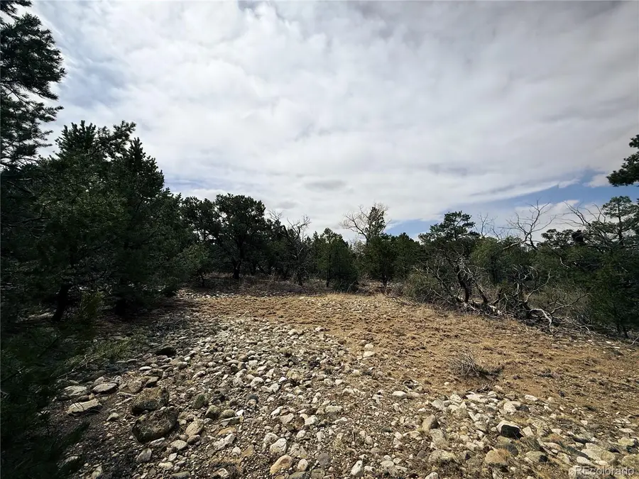 76 Mill Run Road, Mosca, CO 81146 - #3