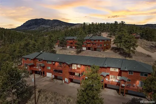 303 Virginia Road #E, Bailey, CO 80421