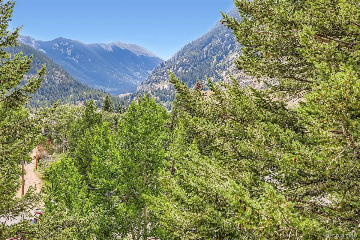 819 Valley View Drive, Georgetown, CO 80444 - #1