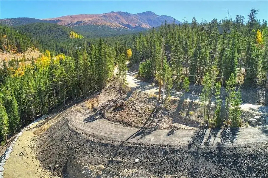 103 Cr 529, Breckenridge, CO 80424 - #2