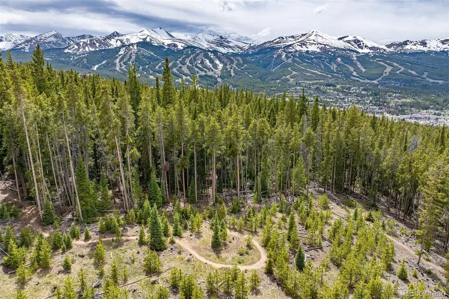 436 Moonstone Road, Breckenridge, CO 80424 - #3