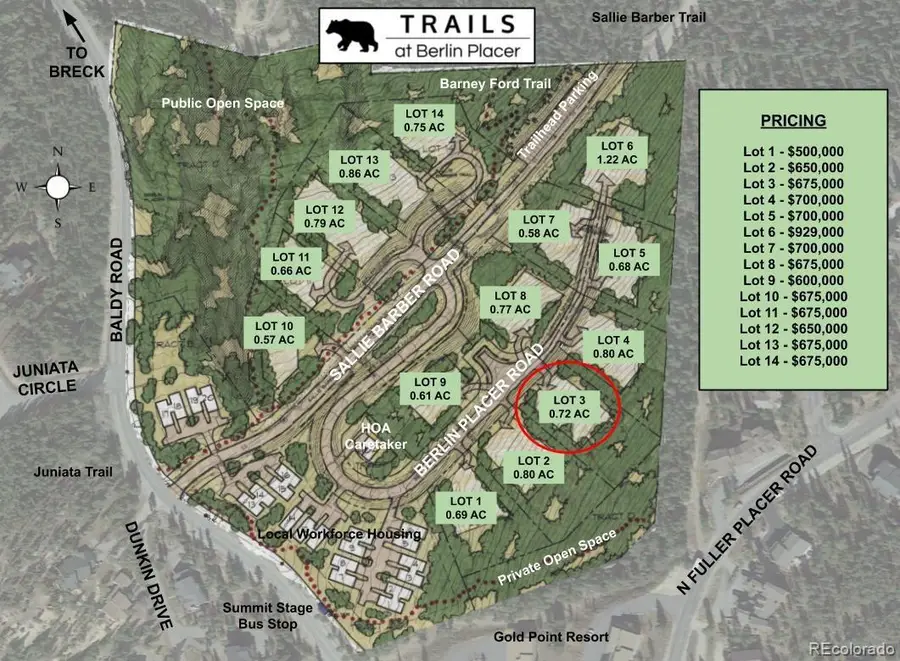 0190 Berlin Placer Road, Breckenridge, CO 80424 - #3