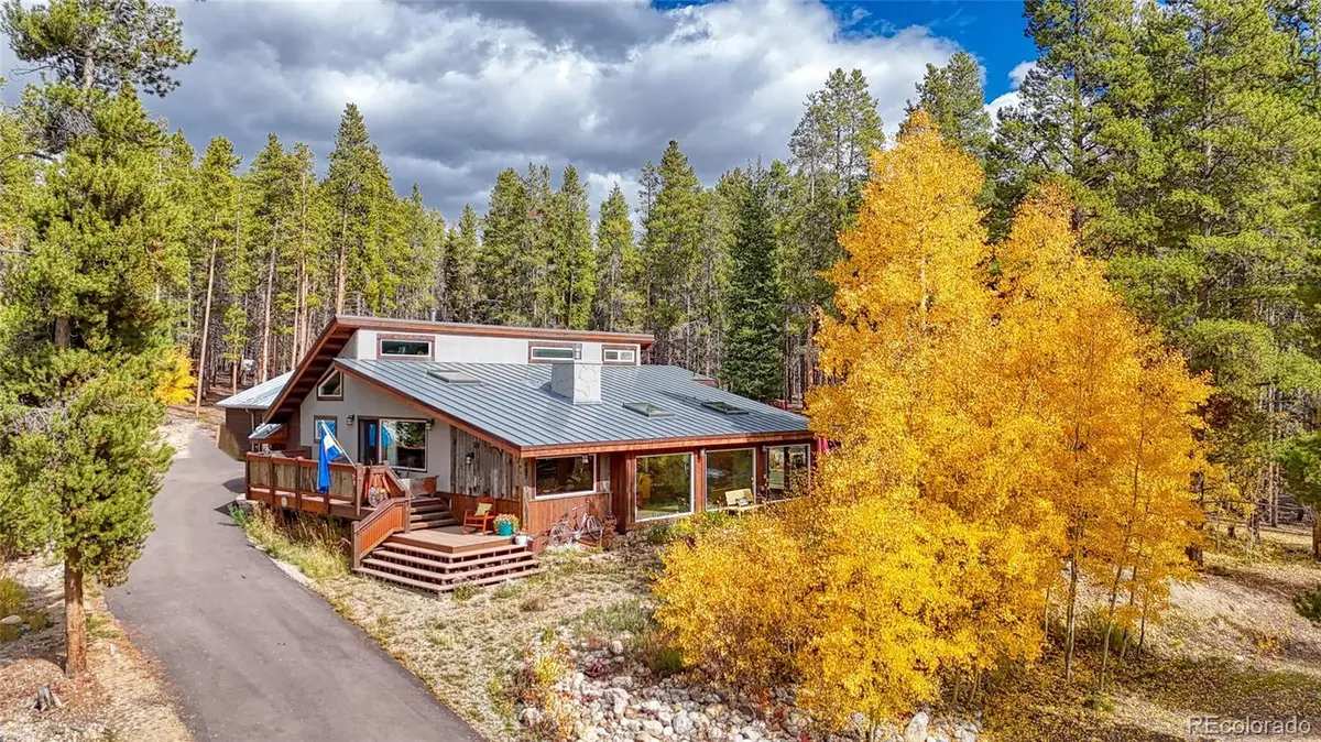 987 Ruby Lane, Leadville, CO 80461 - #1