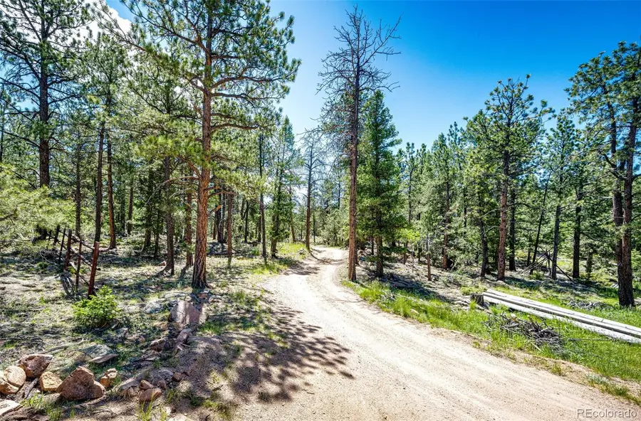 S Wandcrest Drive, Pine, CO 80470 - #3