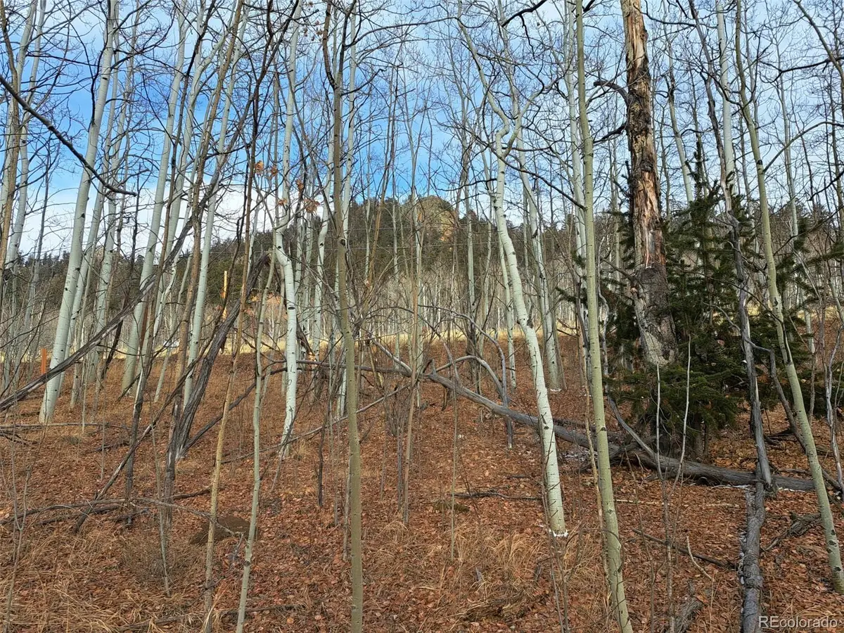 503 Sugar Loaf Lane, Jefferson, CO 80456 - #1