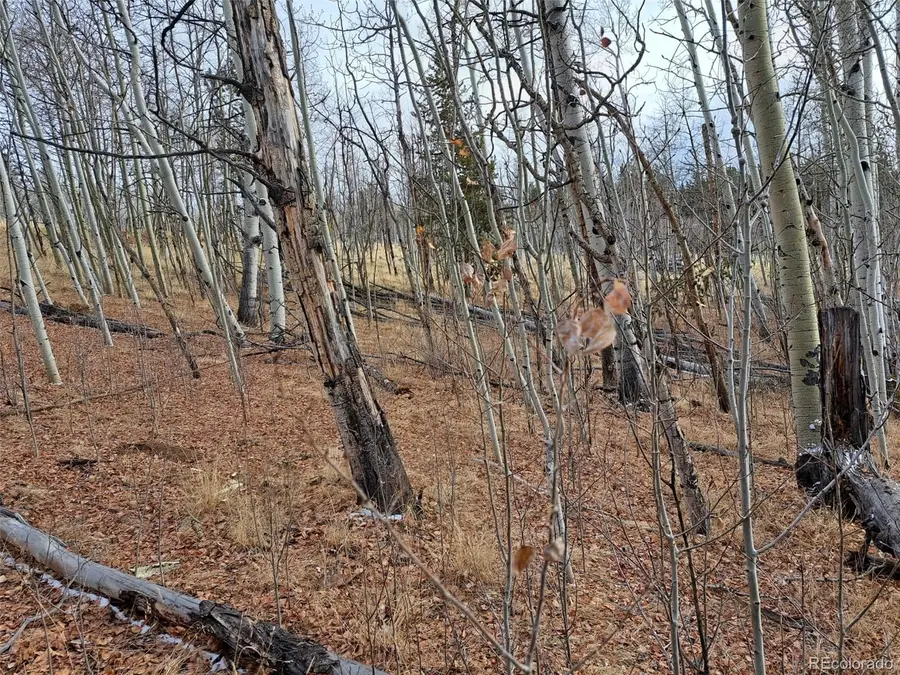 503 Sugar Loaf Lane, Jefferson, CO 80456 - #2