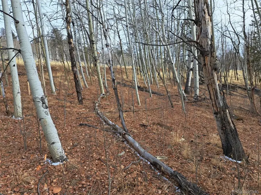 503 Sugar Loaf Lane, Jefferson, CO 80456 - #3