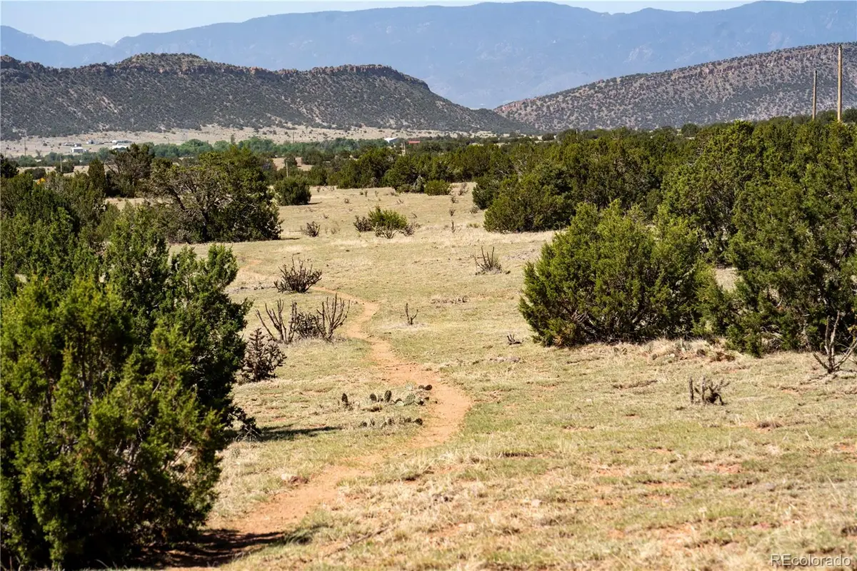 County Road 132, Penrose, CO 81240 - #1