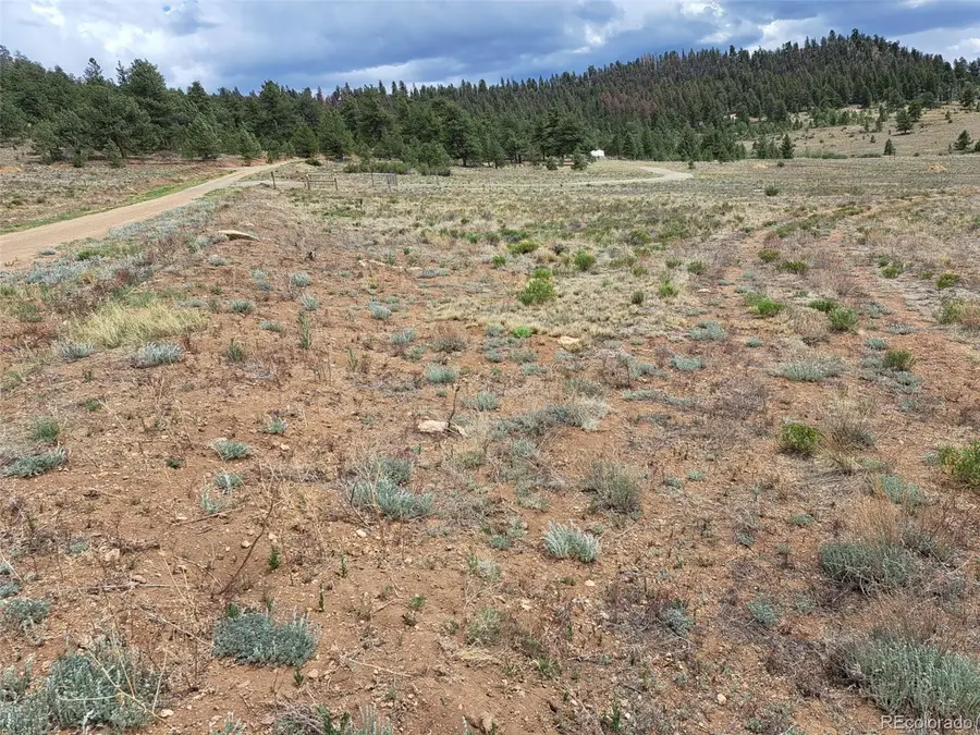 00 Cohonina Road, Hartsel, CO 80449 - #3