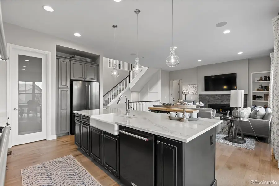 485 Meadowleaf Lane, Highlands Ranch, CO 80126 - #3