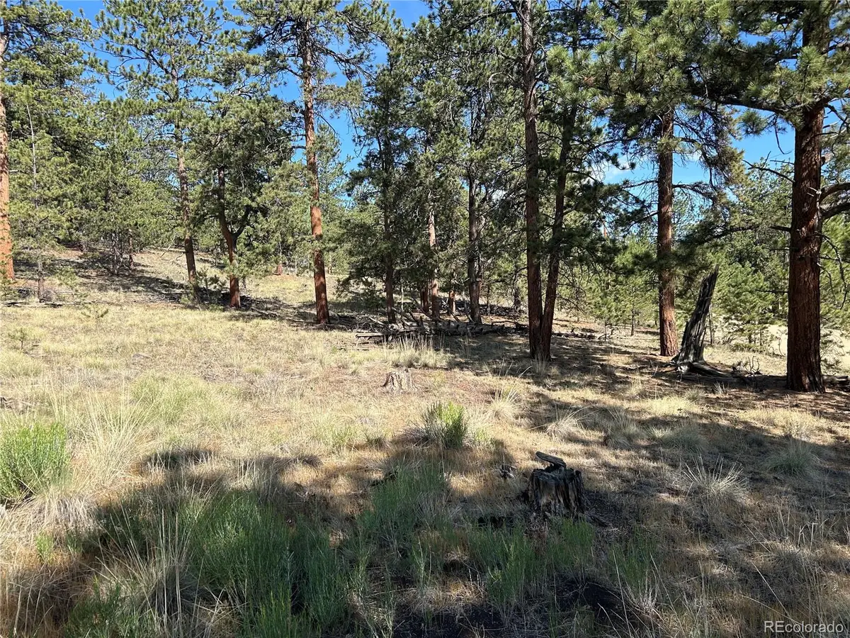 565 Hayhook Way, Hartsel, CO 80449 - #1