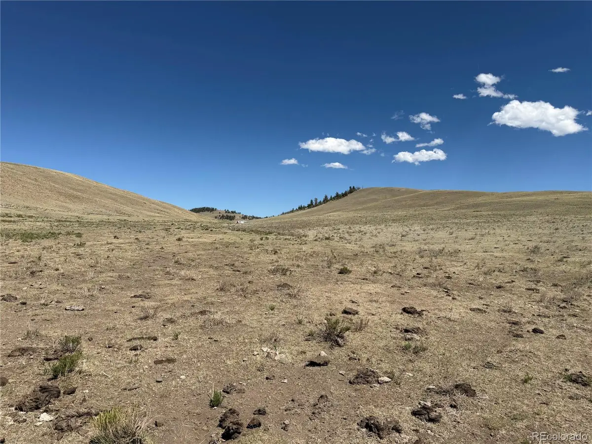 3216 Coweta Trail, Hartsel, CO 80449 - #1