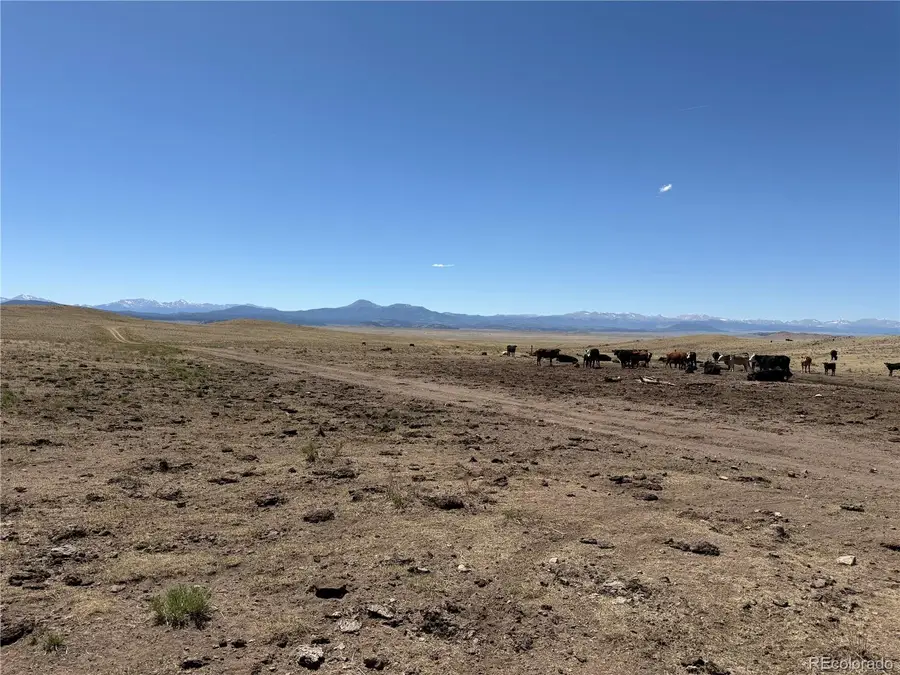 3216 Coweta Trail, Hartsel, CO 80449 - #2