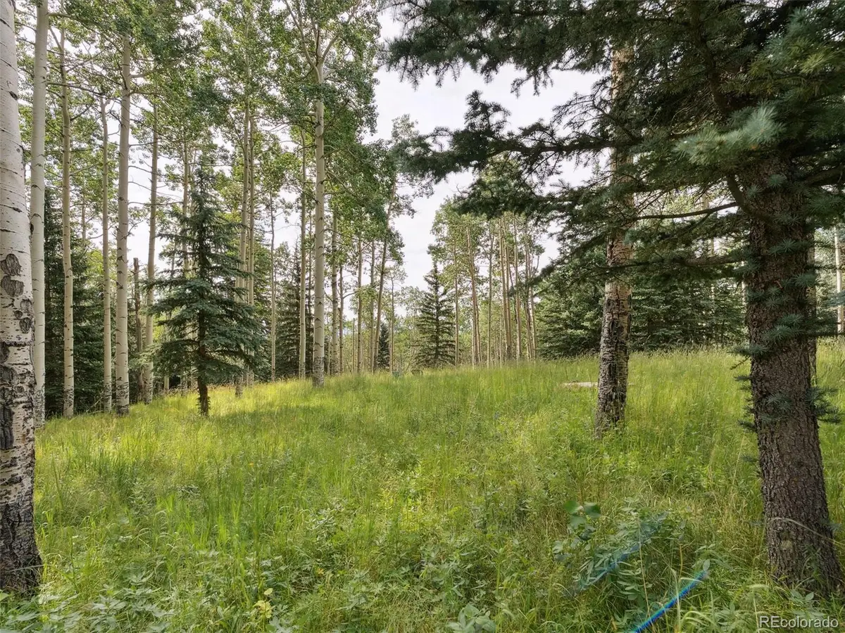 000 Snyder Mountain Road, Evergreen, CO 80439 - #1