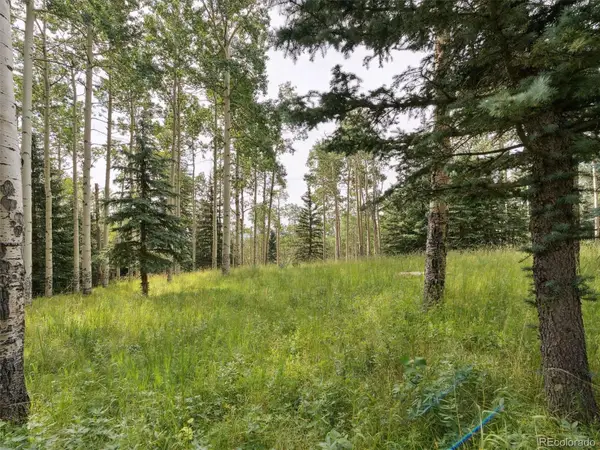 000 Snyder Mountain Road, Evergreen, CO 80439