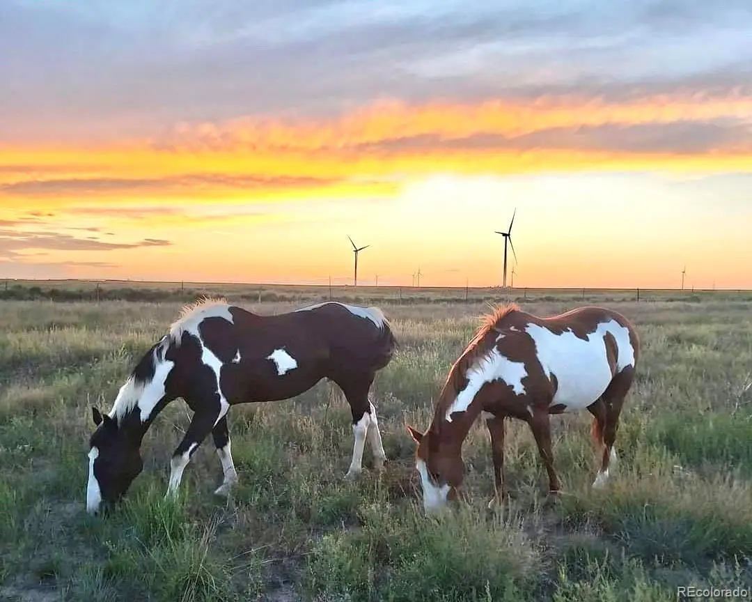 53647 County Road 36.4, Genoa, CO 80818 - #1