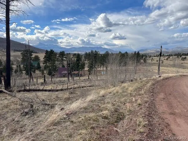 Lot 1020 & 1021 Hassan Lane, Fort Garland, CO 81133 - #3