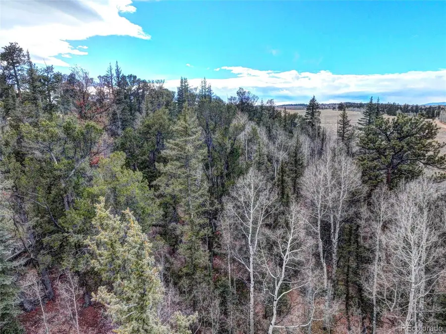 646 Antelope Way, Como, CO 80432 - Image #3