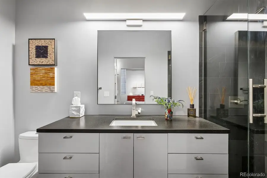 290 W 12th Avenue #305, Denver, CO 80204 - #3