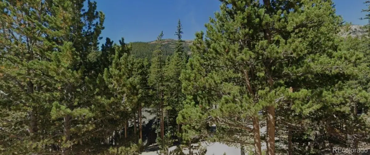 Lot 82 Lake Rd, Idaho Springs, CO 80452 - #1