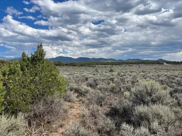 Lot 989 Bateman Road, Fort Garland, CO 81133 - #2