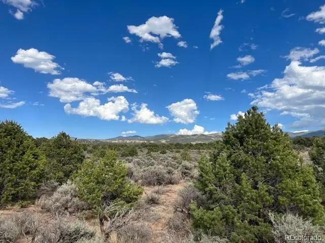 Lot 989 Bateman Road, Fort Garland, CO 81133 - #3
