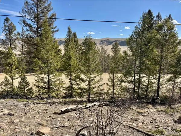 2601 Redhill Road, Fairplay, CO 80440