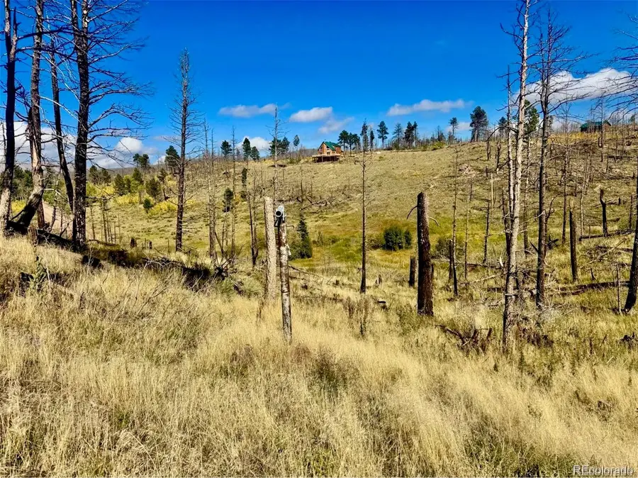 Lot 1005 Foy Place, Fort Garland, CO 81133 - #3