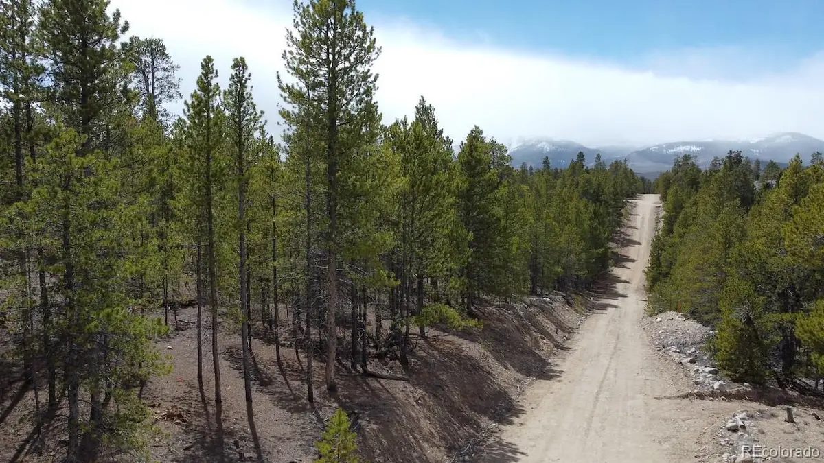 104 Spruce Drive, Twin Lakes, CO 81251 - #1
