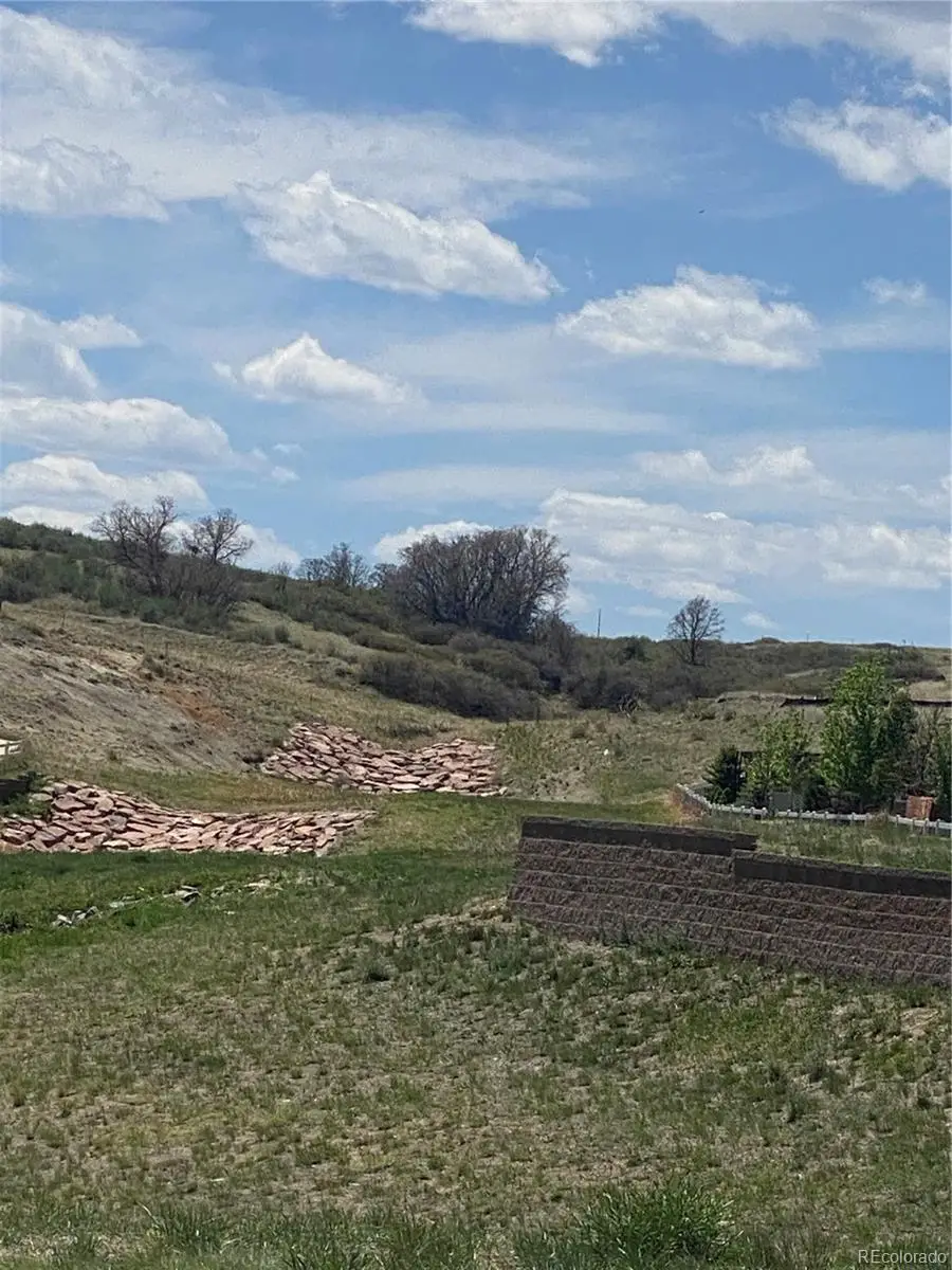 17758 E Emilia Drive, Parker, CO 80134 - #3