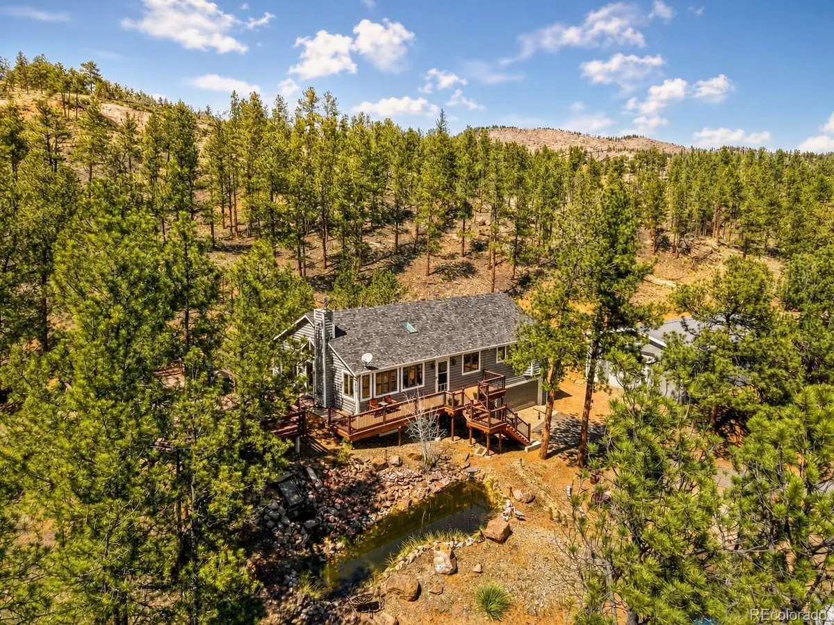 16687 Ouray Road W, Pine, CO 80470 - #1
