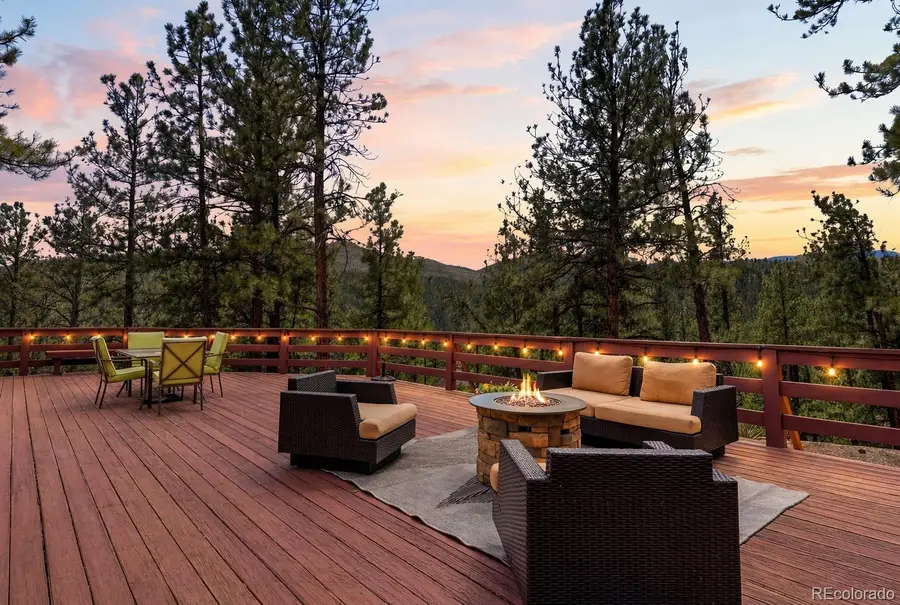 16687 Ouray Road W, Pine, CO 80470 - #3