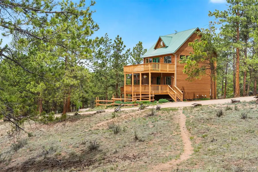605 Obsidian Drive, Florissant, CO 80816 - #2