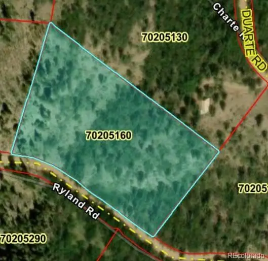 LOT 6216 Ryland Road, San Luis, CO 81152 - #3