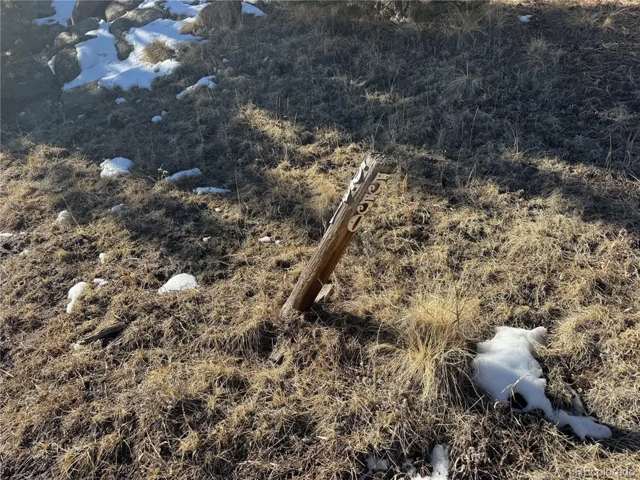 91 Hidden Valley Drive, Florissant, CO 80816 - Image #3