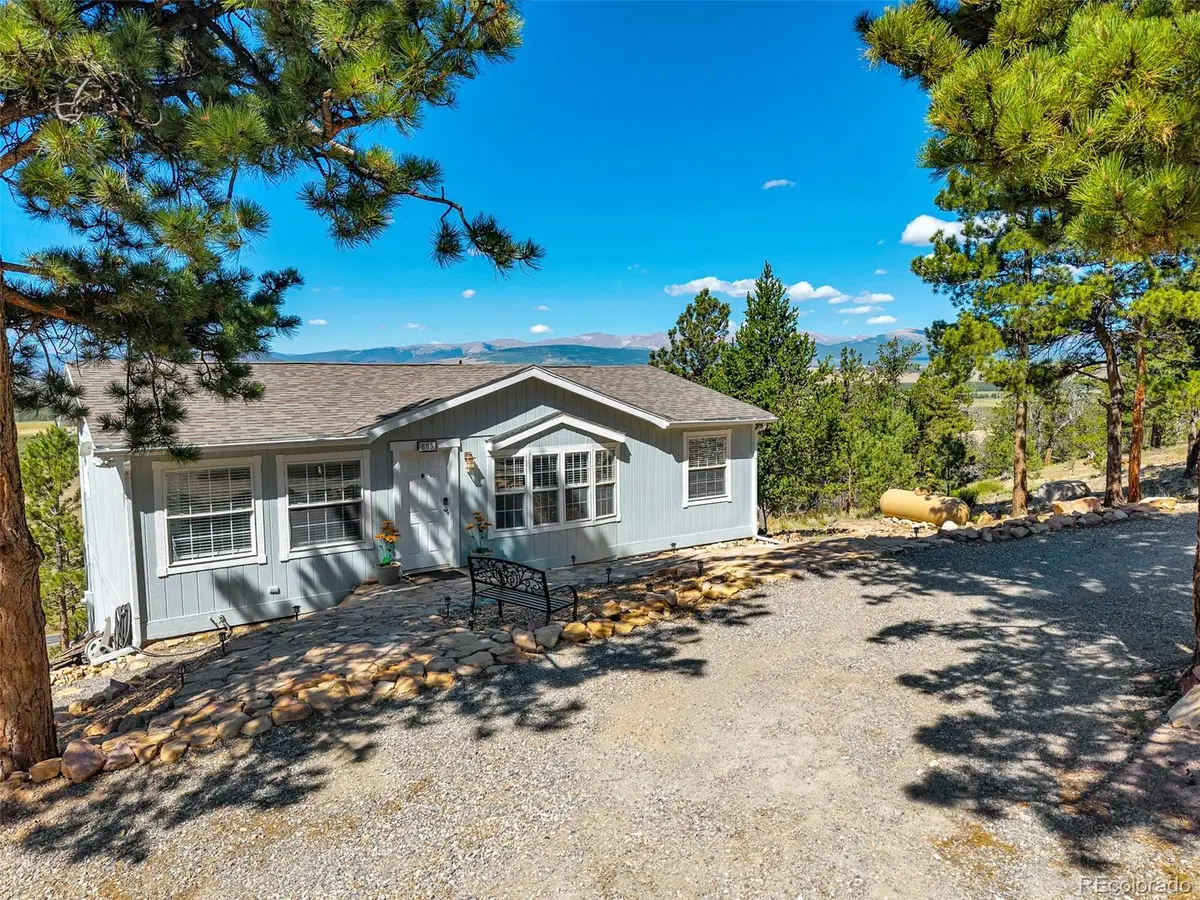 803 Bonell Drive, Fairplay, CO 80440 - #1