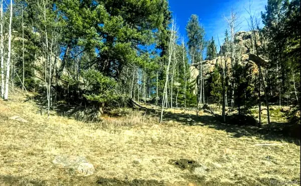 987 Eagle Rock Road, Florissant, CO 80816