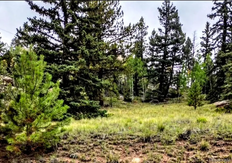 987 Eagle Rock Road, Florissant, CO 80816 - #2