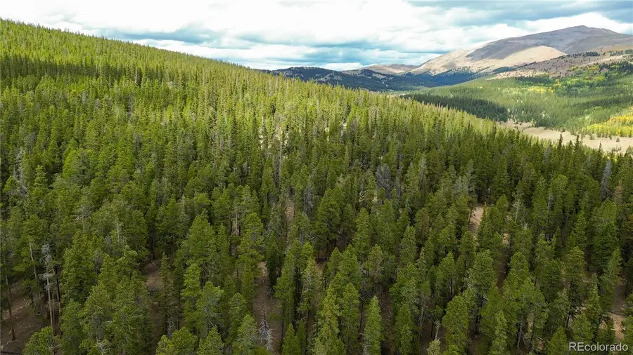 Ten High, Alma, CO 80420 - #3