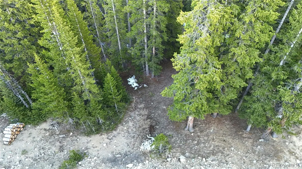 210 Silverheels Place, Fairplay, CO 80440 - #1