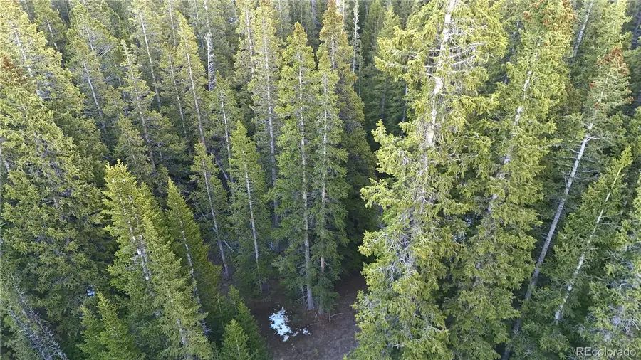 210 Silverheels Place, Fairplay, CO 80440 - #2