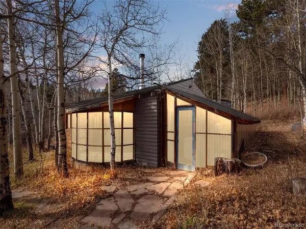 757 Lower Travis Gulch Road, Black Hawk, CO 80422