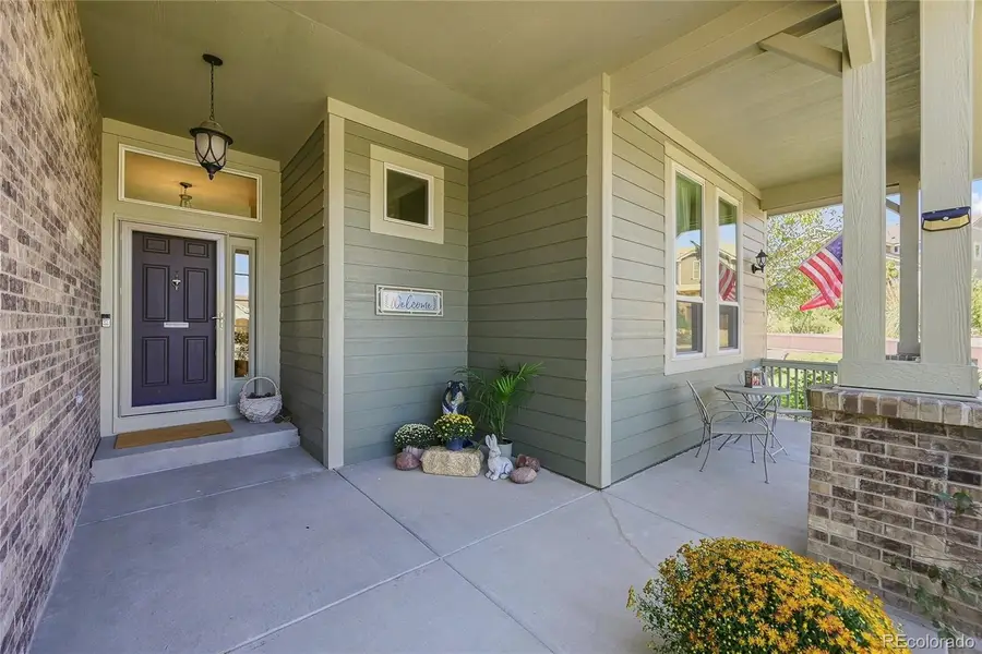 7542 Pyrite Way, Castle Rock, CO 80108 - #3