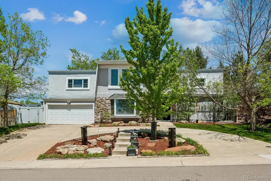 233 Ash Avenue, Castle Rock, CO 80104 - #3