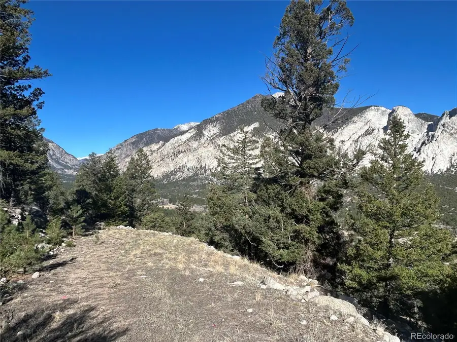 Falcon Drive, Nathrop, CO 81236 - #3