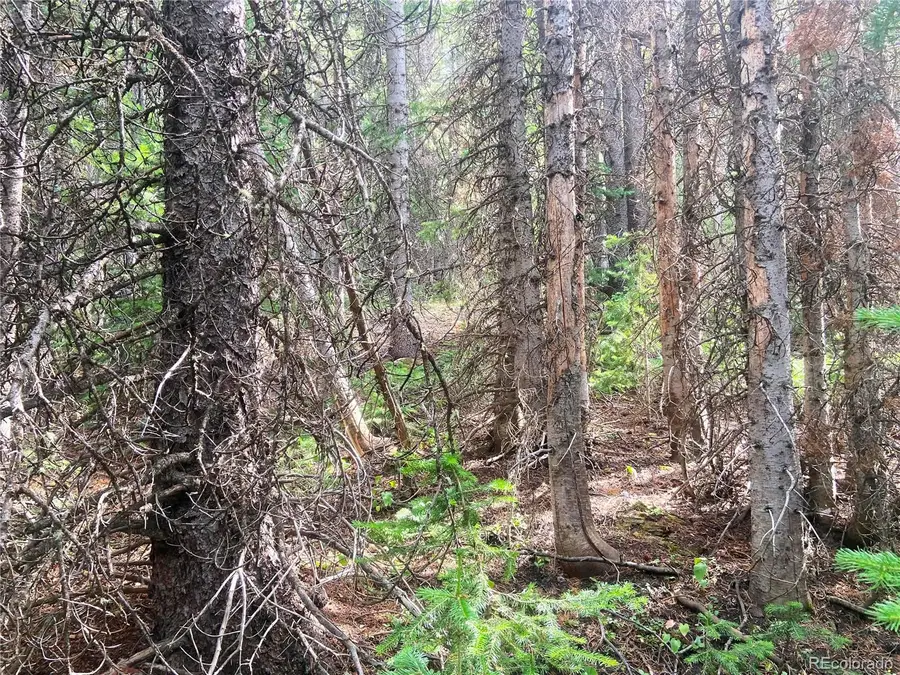 00 Fs 413.1, Black Hawk, CO 80422 - #2