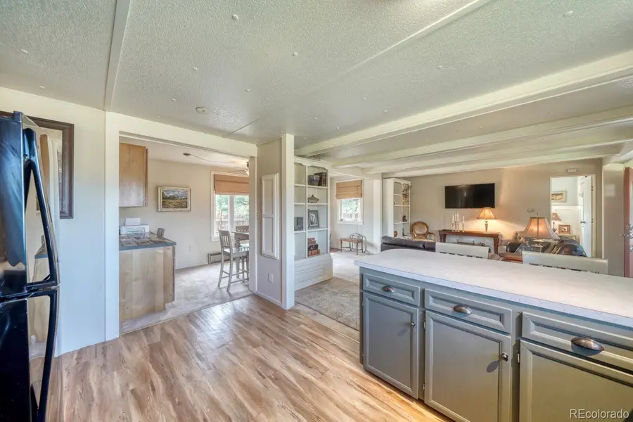 30350 County Road 383, Buena Vista, CO 81211 - #3