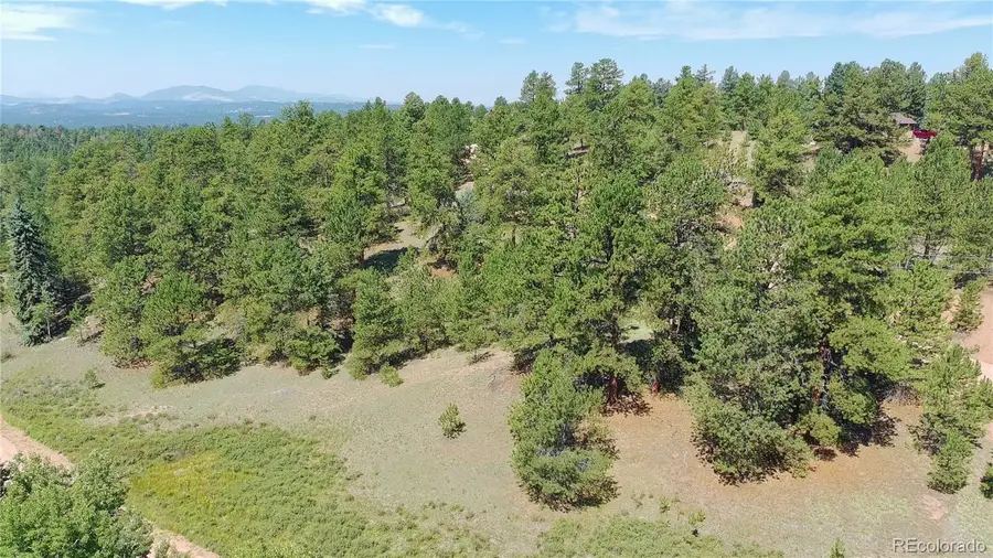 719 Spring Valley Lane, Florissant, CO 80816 - #2