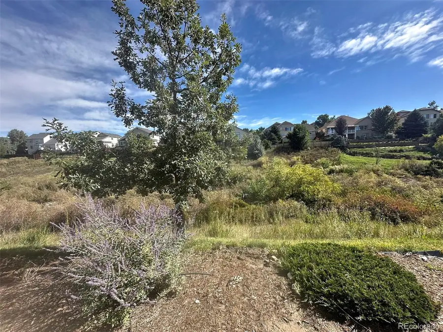 6463 Bluffmont Point, Colorado Springs, CO 80923 - Image #3