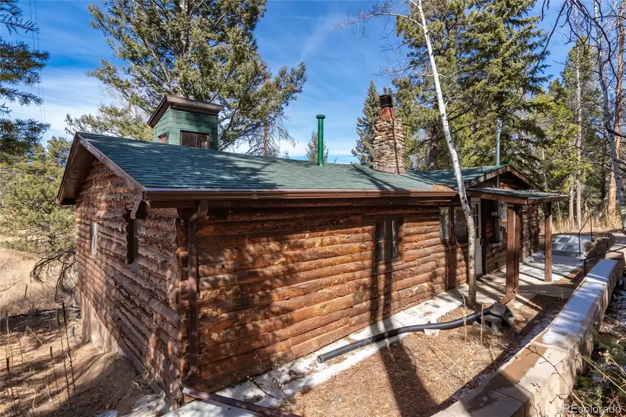 10783 Fox Trot Lane, Conifer, CO 80433 - #3